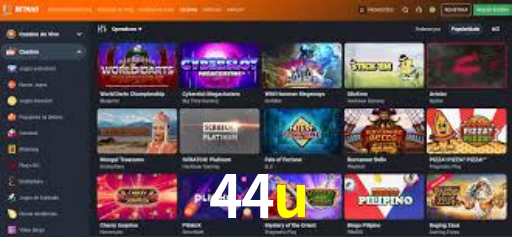 Premium Interface 44u